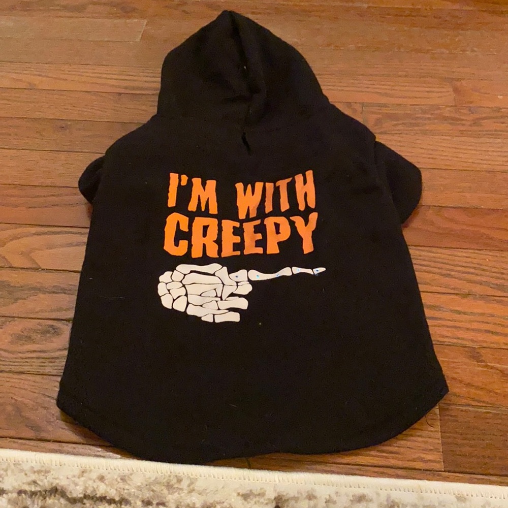 Pet Halloween sweater